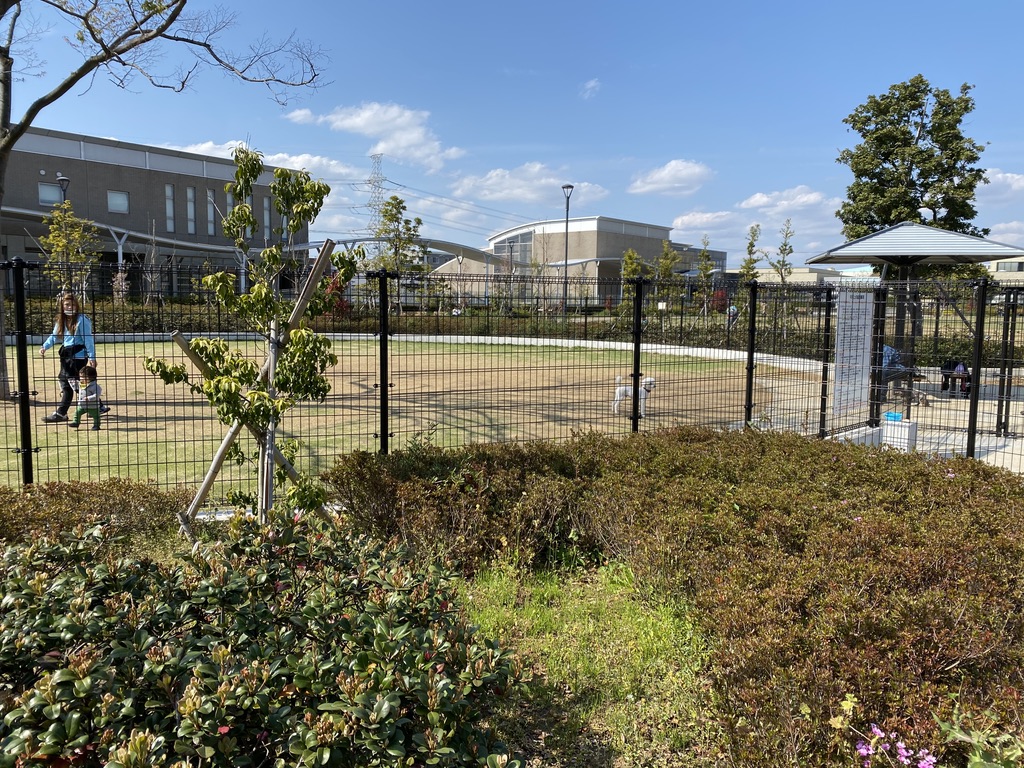 浦安公園 ドッグラン