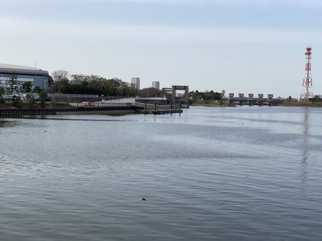 江戸川区水閘門