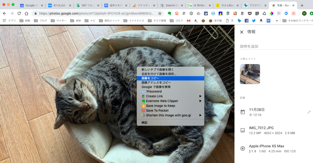 ULYSSES(ユリシーズ)でブログ