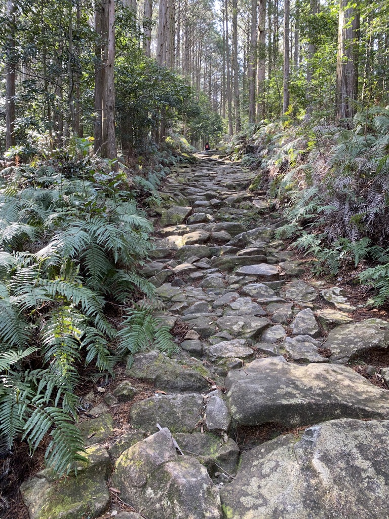 馬越峠 石畳