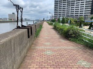 【日常】パーソナルトレーニングを受けて夜は中野で練習 2019年6月12日（水）