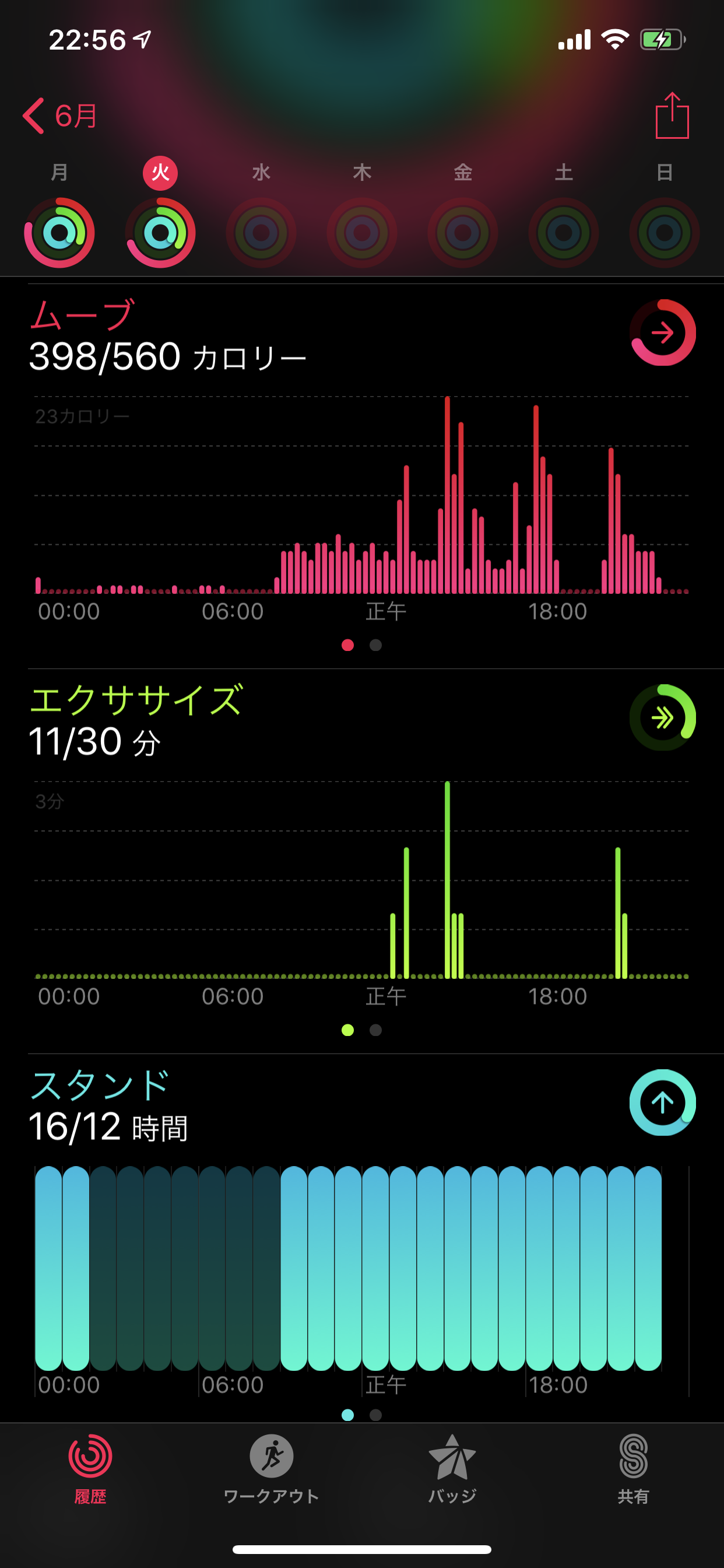 ゴーゴーカレー アリオ葛西