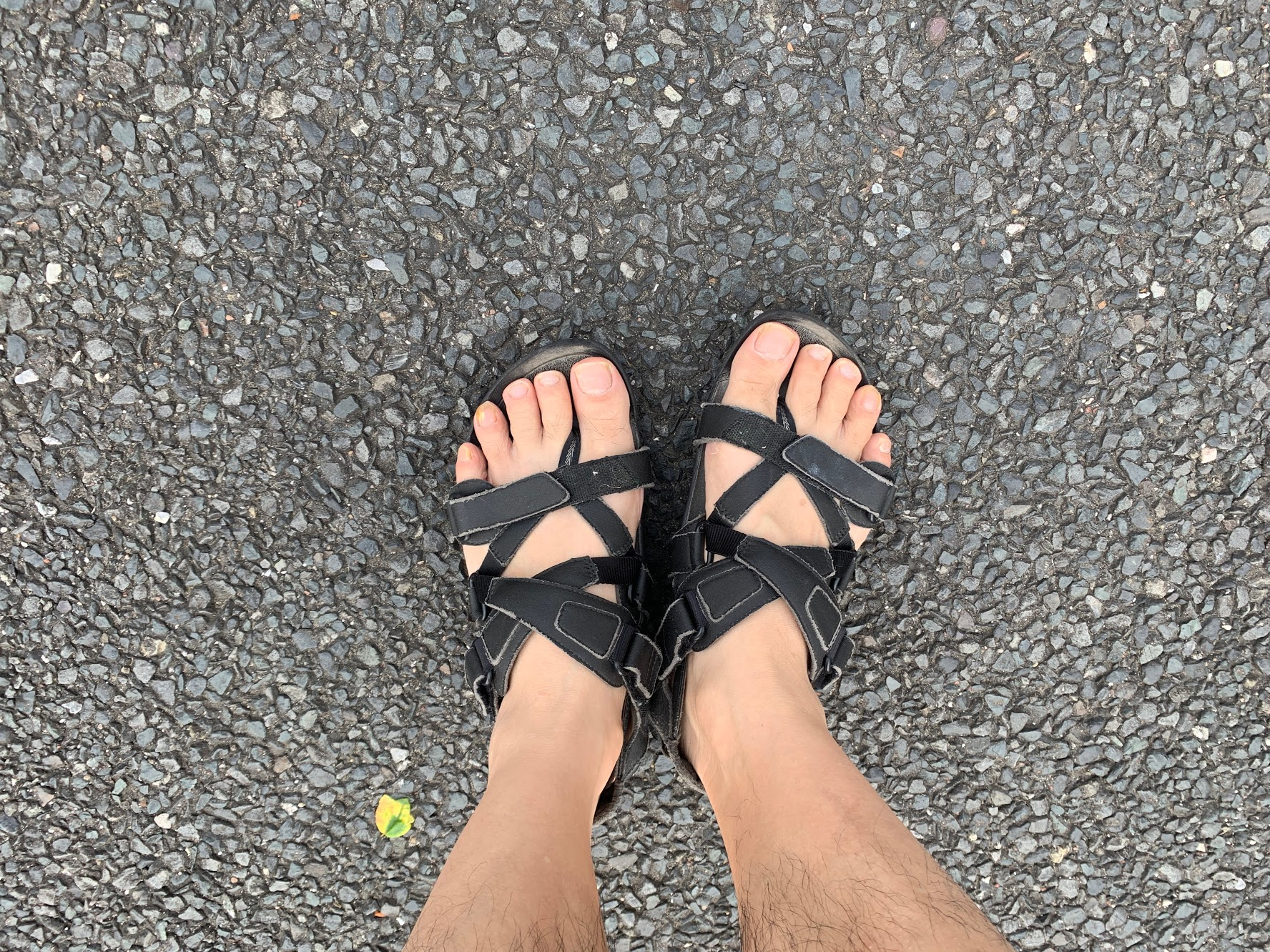 人前で話すことで心拍数がジョギング並みに上がっていて驚いた