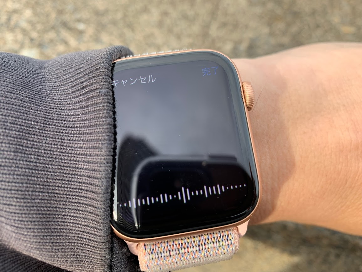 【日常】たすくまの音声メモでApple Watch4とiPhone XS Maxの組み合わせが最強と感じた