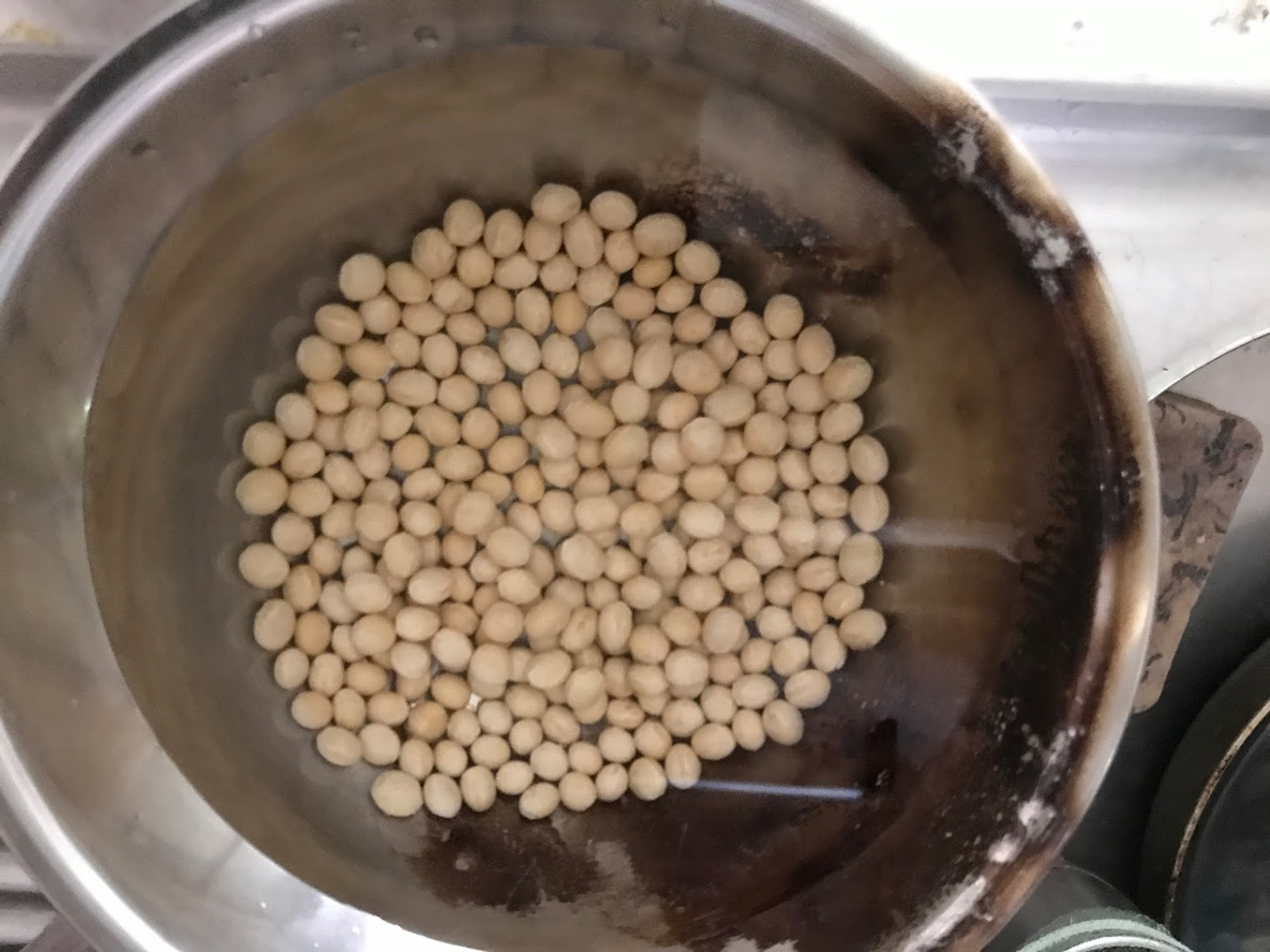 ヘルシオで蒸し大豆【レビュー】自然な甘みがしみわたる