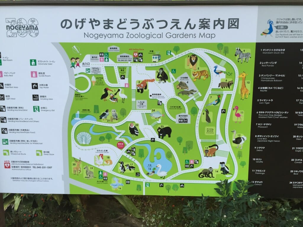 野毛山動物園