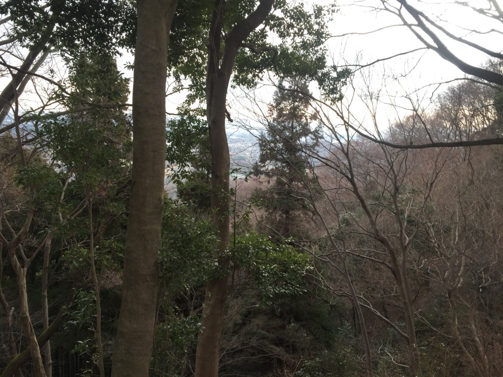 白山〜日向山(ひなたやま) 