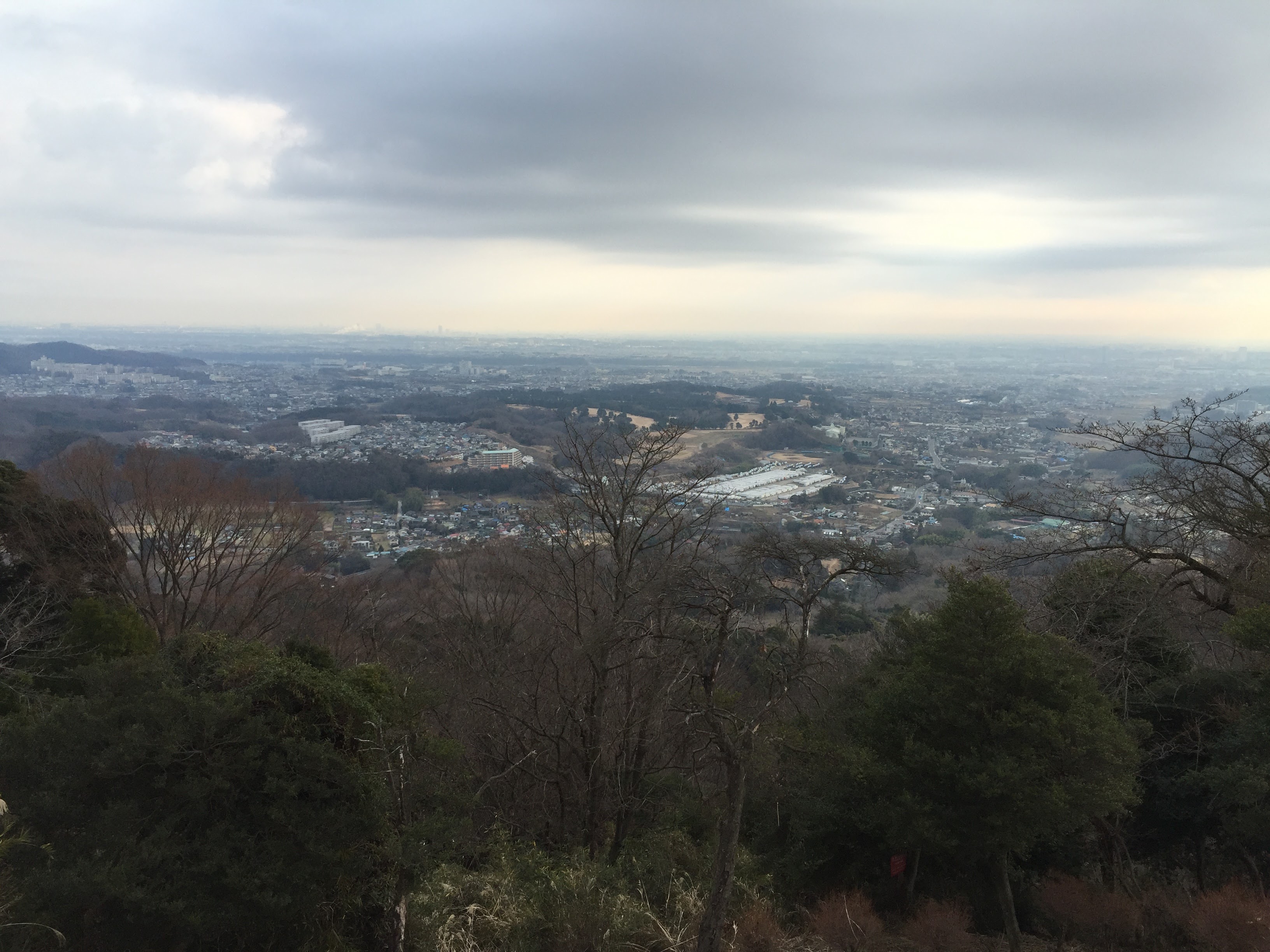 白山〜日向山(ひなたやま) 【レビュー】丹沢 ハイキング