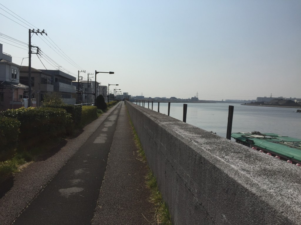 旧江戸川河口