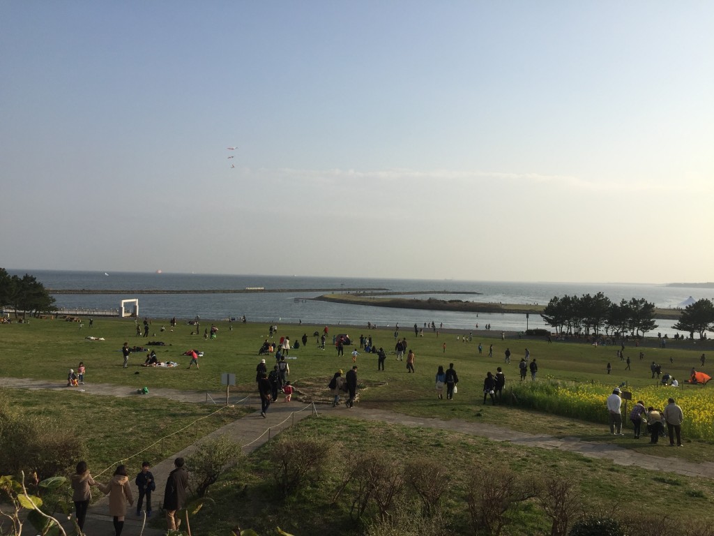 葛西さざなみ散歩コース