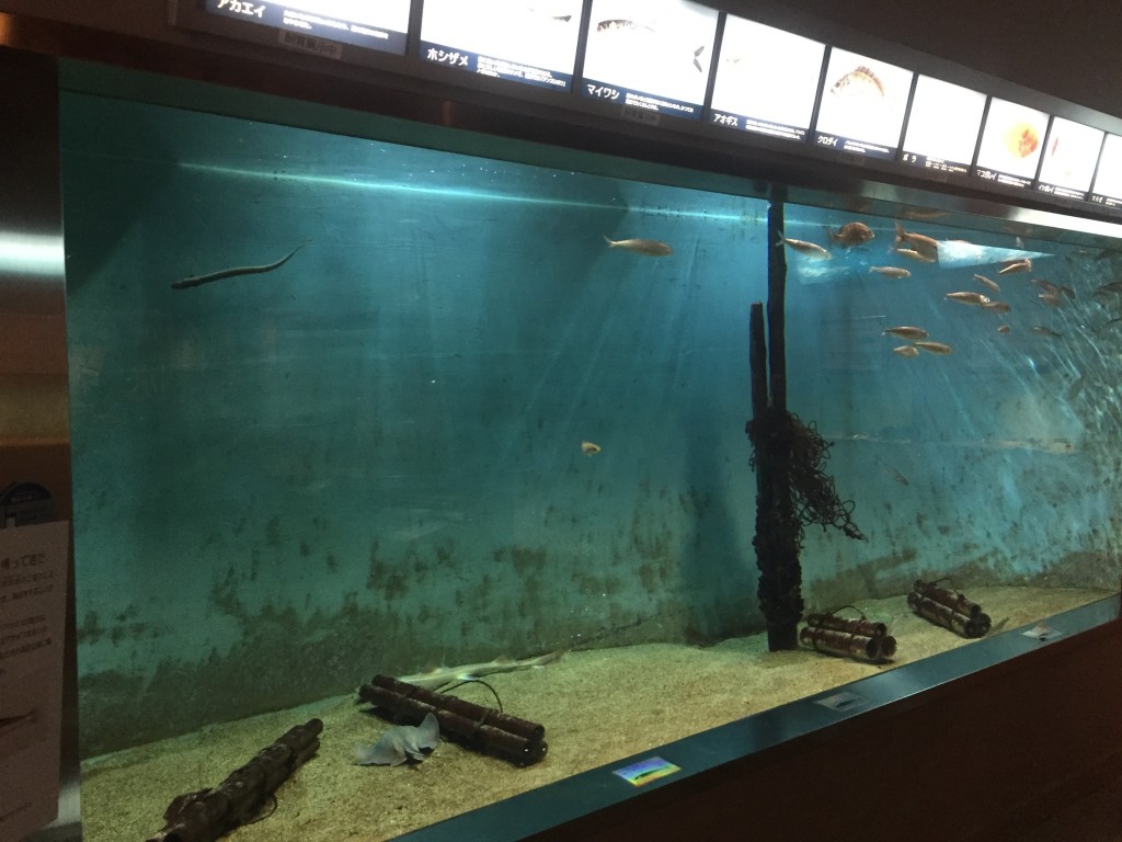 浦安市郷土博物館