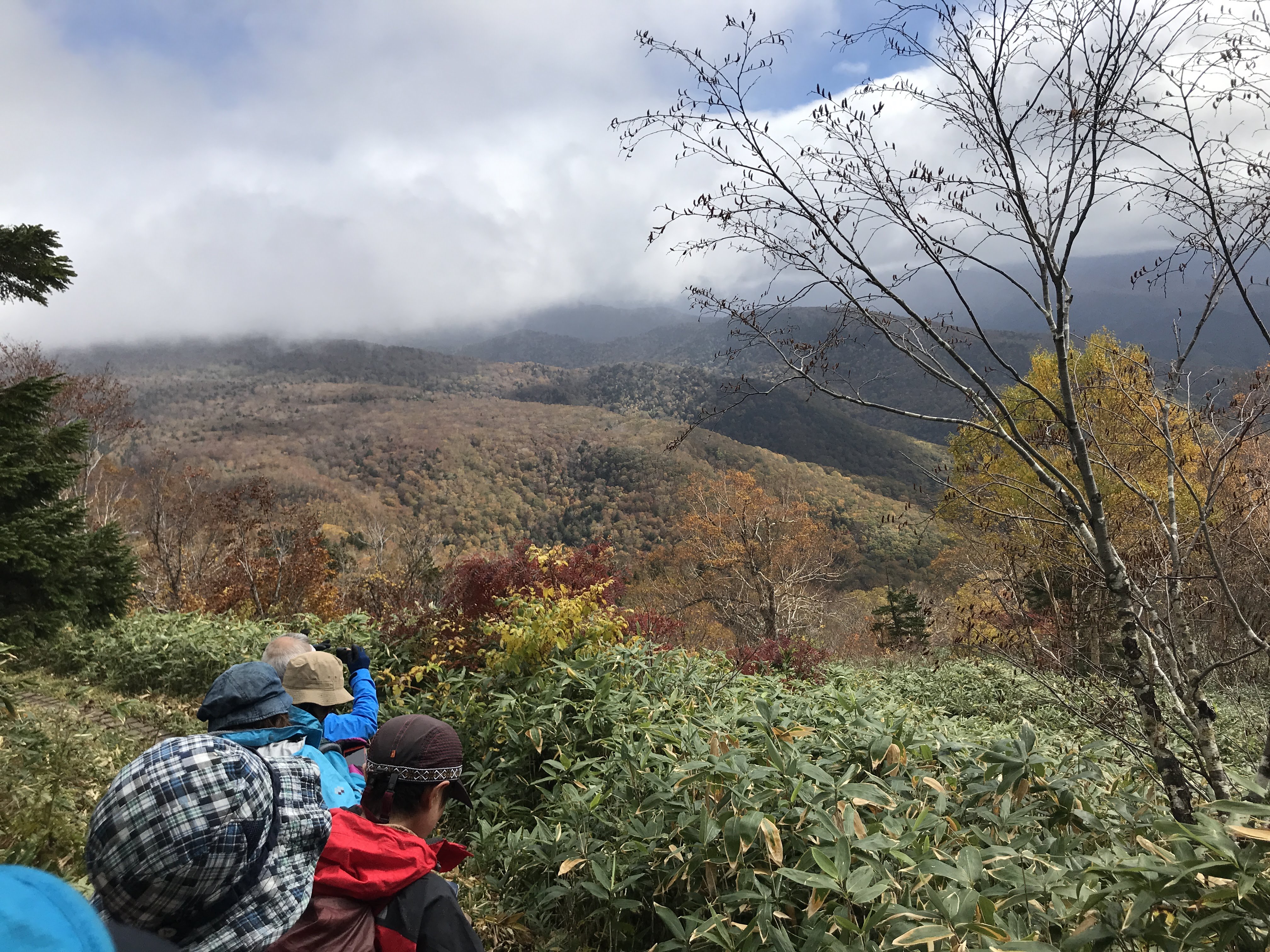 至仏山 雨でオマタ沢田代で引き返すも 麓は紅葉真っ盛り