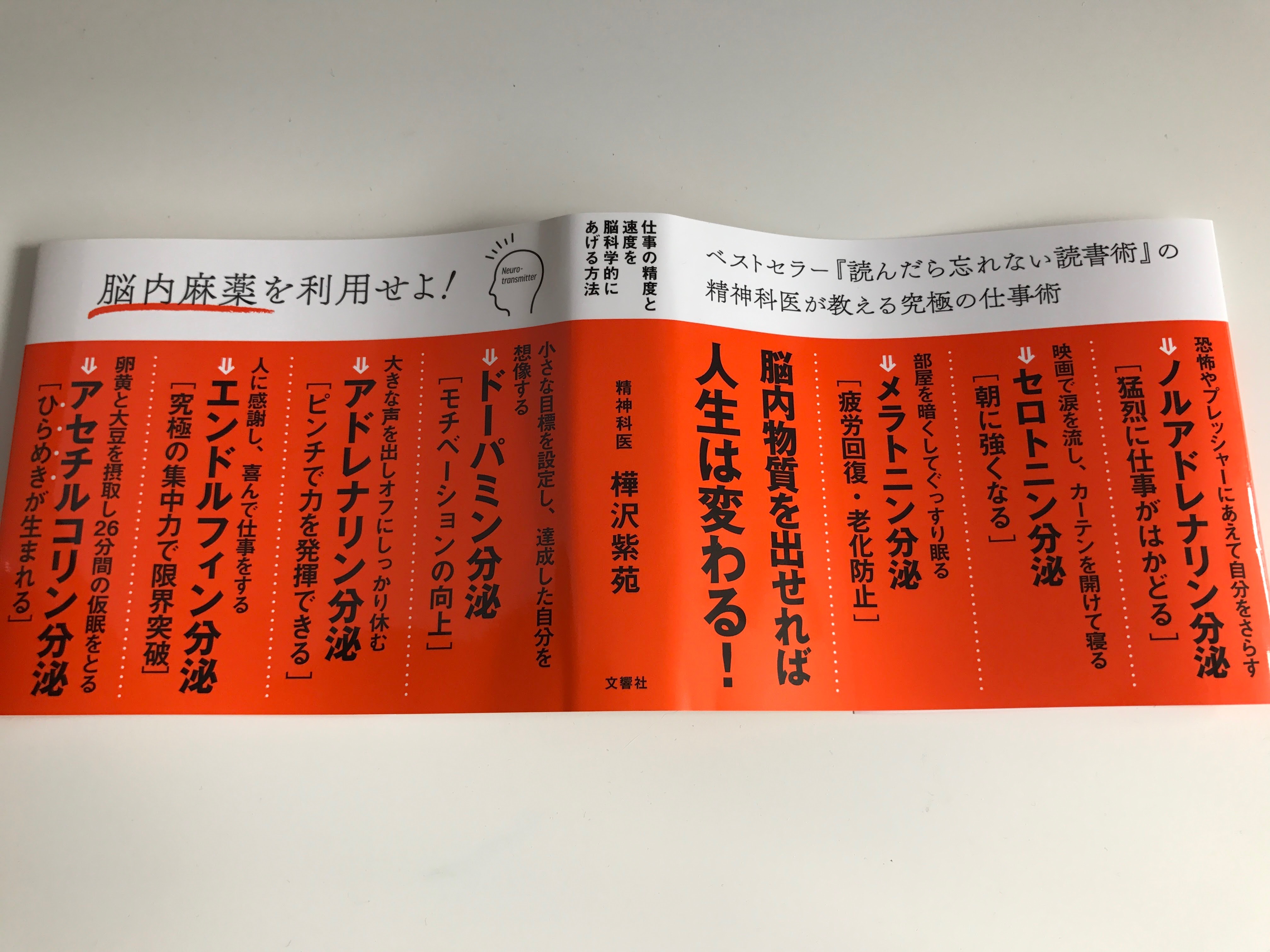 脳を最適化すれば能力は2倍になる【レビュー】樺沢紫苑 著
