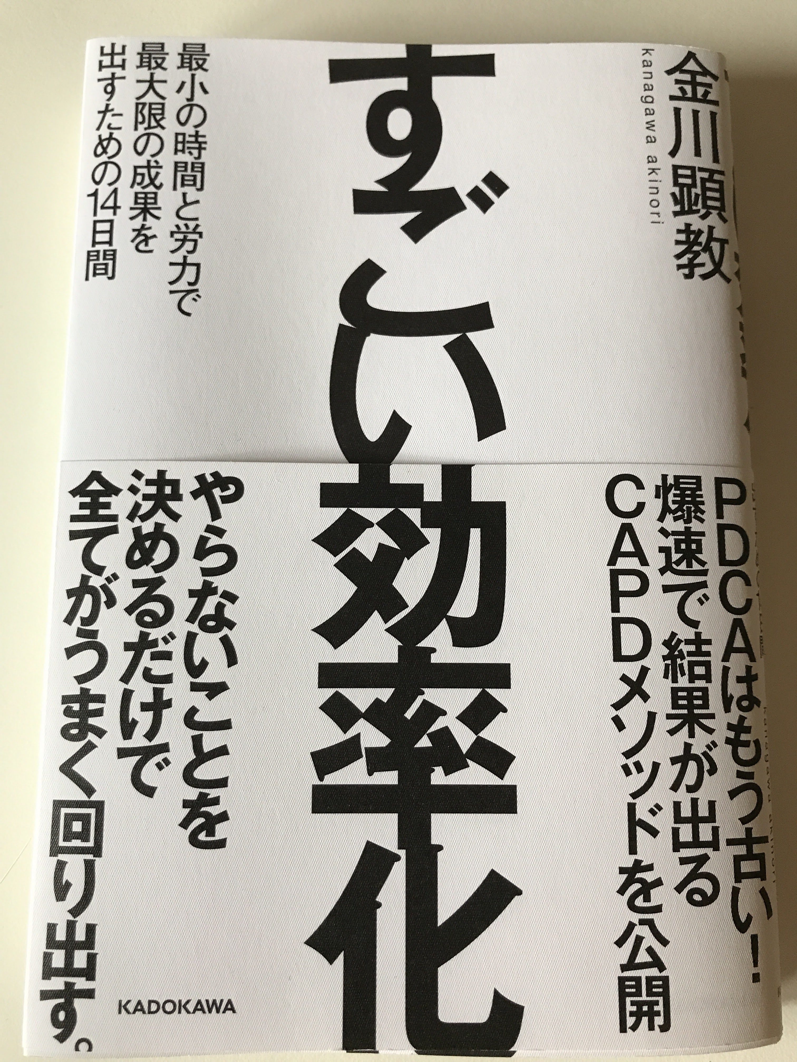 すごい効率化【レビュー】 最小の時間で最大限の成果を出すための14日間 金川顯教 著