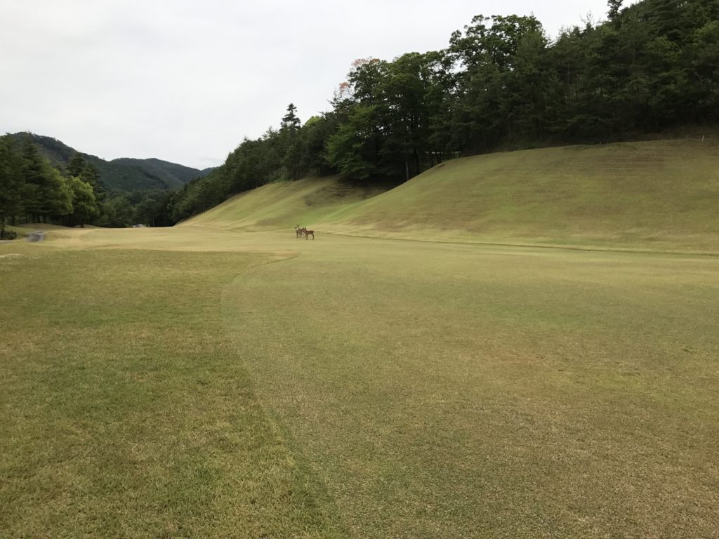 勝沼ゴルフコース 