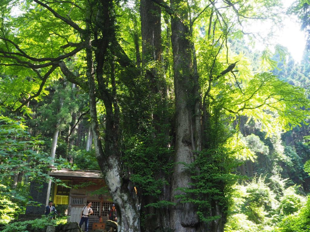 軍刀利(グンダリ)神社 奥の院