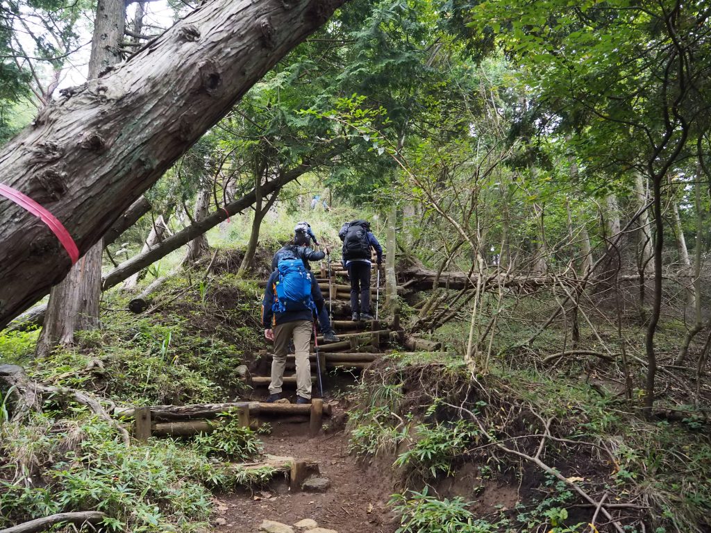 ヤビツ峠から塔ノ岳