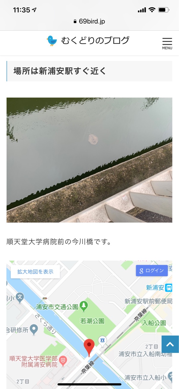 WordPress ブロックエディタでGoogleマップの地図を表示させる