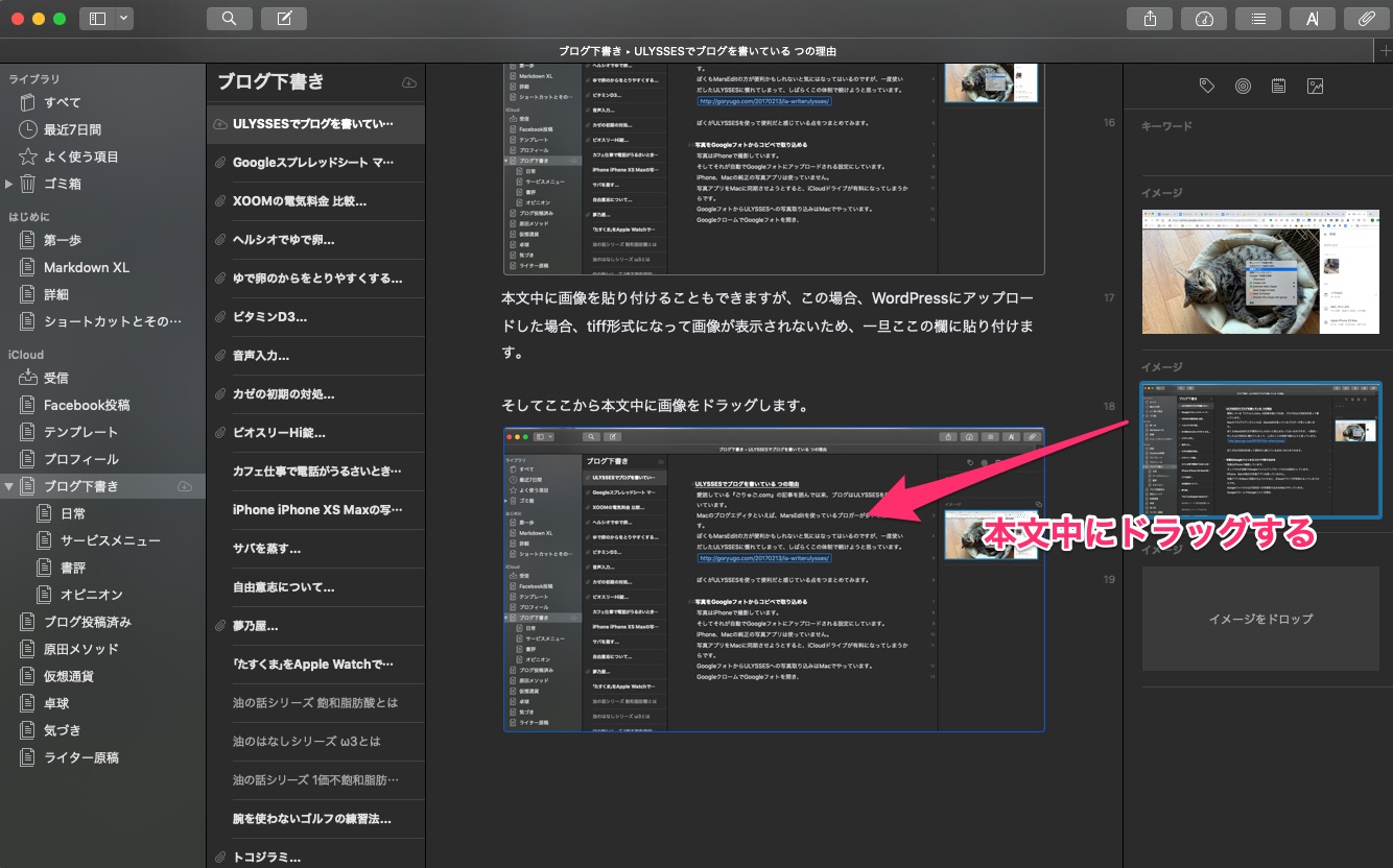 ULYSSES(ユリシーズ)でブログを書いている3つの理由