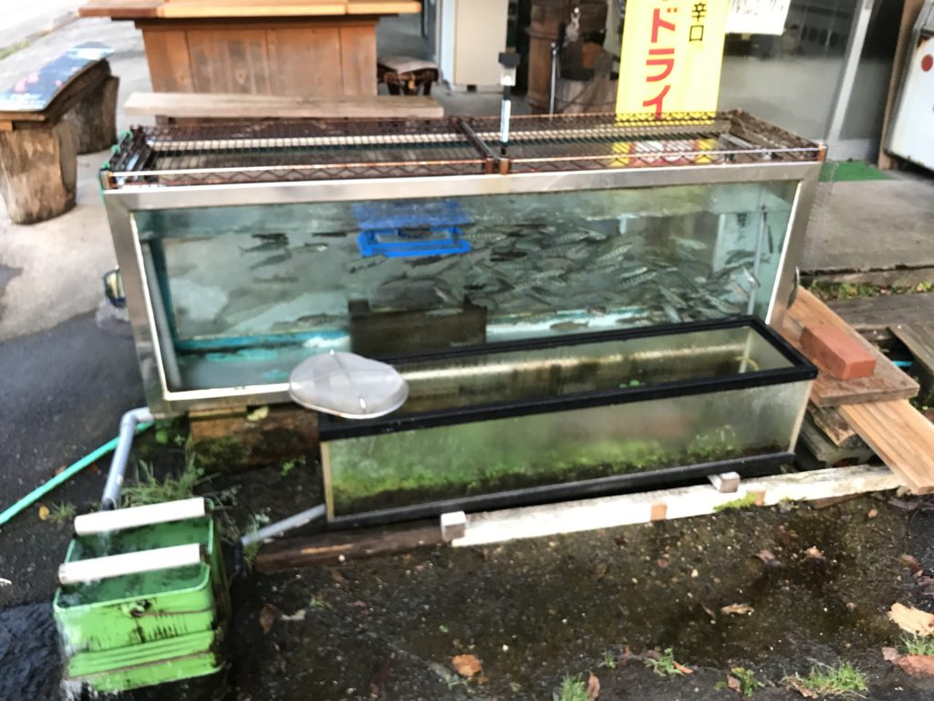 大清水小屋 