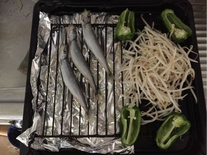 ヘルシオ かんたん焼き シシャモとピーマンともやし