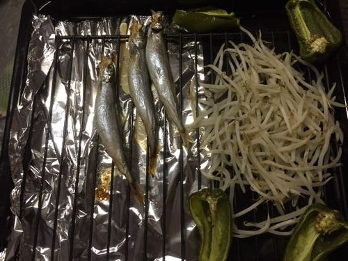 ヘルシオ かんたん焼き シシャモとピーマンともやし