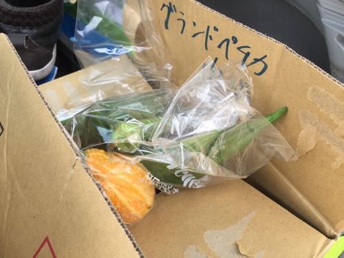 伊豆メディカル農園