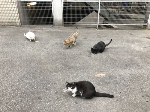 駅前屋 甲府