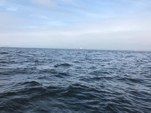 忠彦丸 金沢八景 タチウオ釣り 