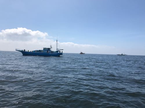 忠彦丸 金沢八景 タチウオ釣り 